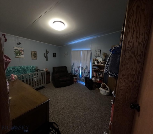 1643 Webster, Dillon, MT 59725 - photo 19