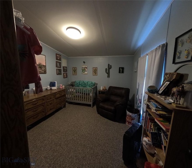 1643 Webster, Dillon, MT 59725 - photo 20