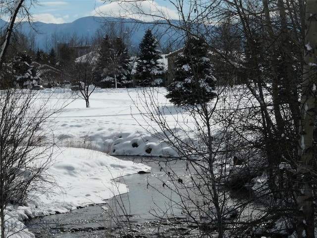 2403 Birdie Dr Unit A, Bozeman, MT 59715 - photo 32