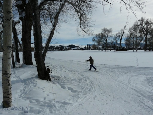 2403 Birdie Dr Unit A, Bozeman, MT 59715 - photo 37