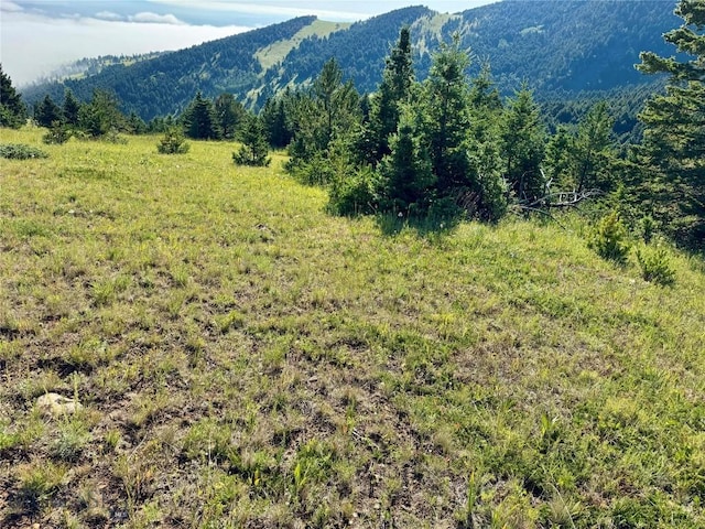 NHN Coyote Dr, Livingston, MT 59047 - photo 20