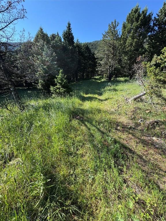 NHN Coyote Dr, Livingston, MT 59047 - photo 23