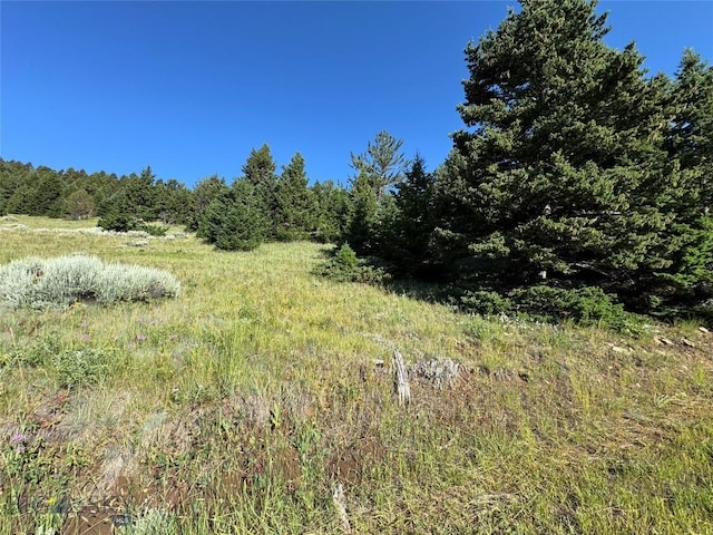 NHN Coyote Dr, Livingston, MT 59047 - photo 24