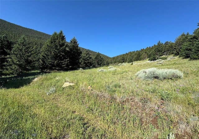 NHN Coyote Dr, Livingston, MT 59047 - photo 25