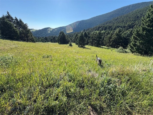 NHN Coyote Dr, Livingston, MT 59047 - photo 26