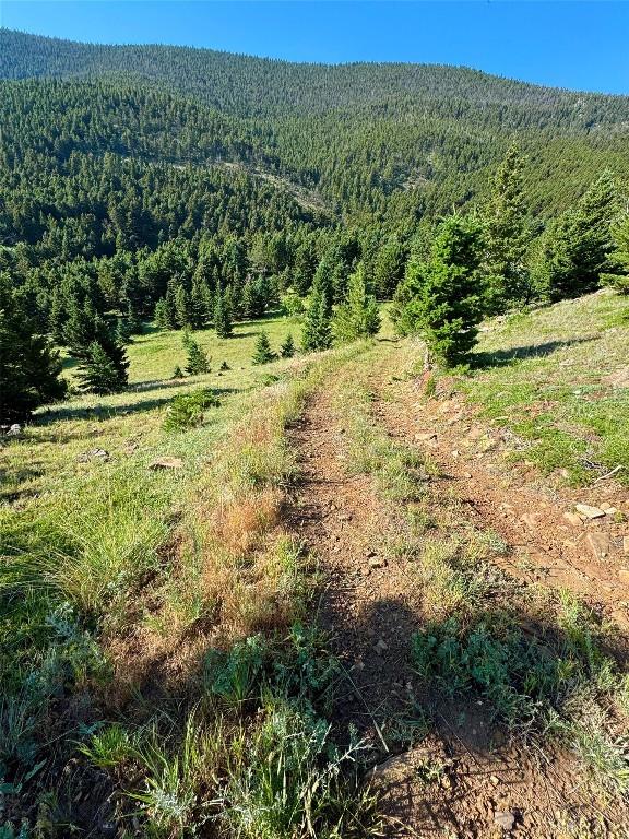 NHN Coyote Dr, Livingston, MT 59047 - photo 28