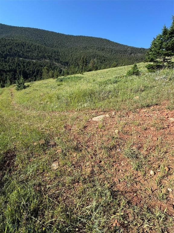 NHN Coyote Dr, Livingston, MT 59047 - photo 29