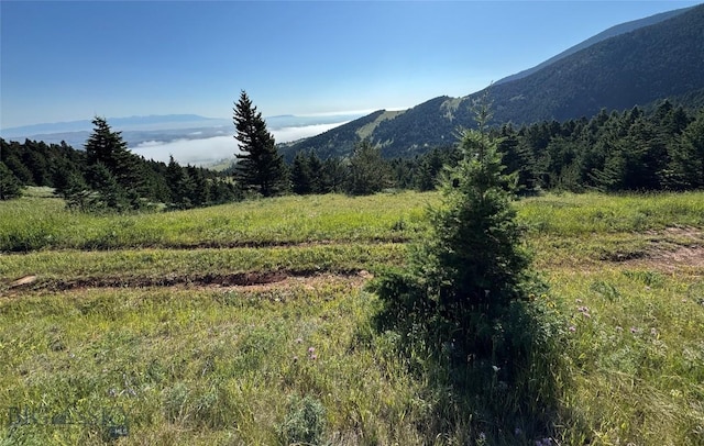 NHN Coyote Dr, Livingston, MT 59047 - photo 30