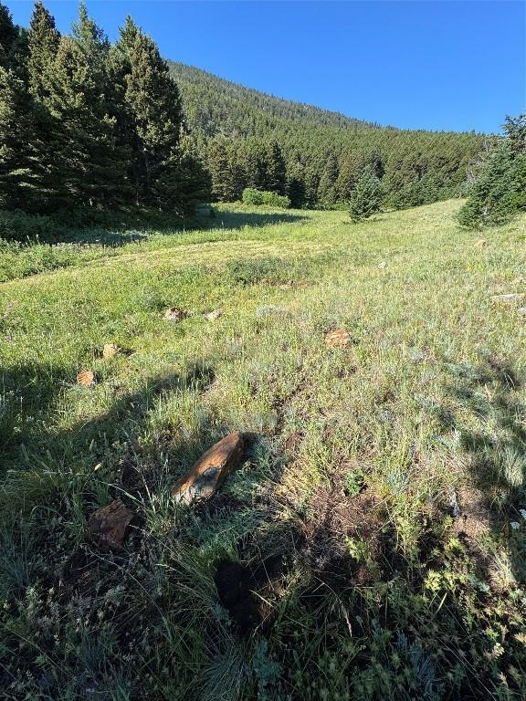 NHN Coyote Dr, Livingston, MT 59047 - photo 32