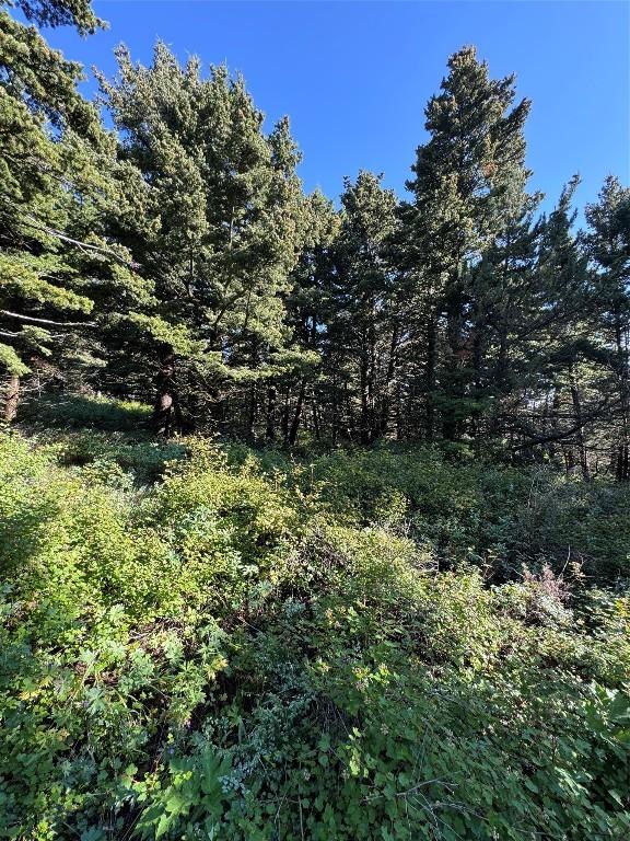 NHN Coyote Dr, Livingston, MT 59047 - photo 33