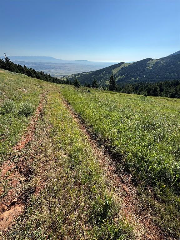 NHN Coyote Dr, Livingston, MT 59047 - photo 15