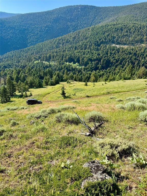 NHN Coyote Dr, Livingston, MT 59047 - photo 17