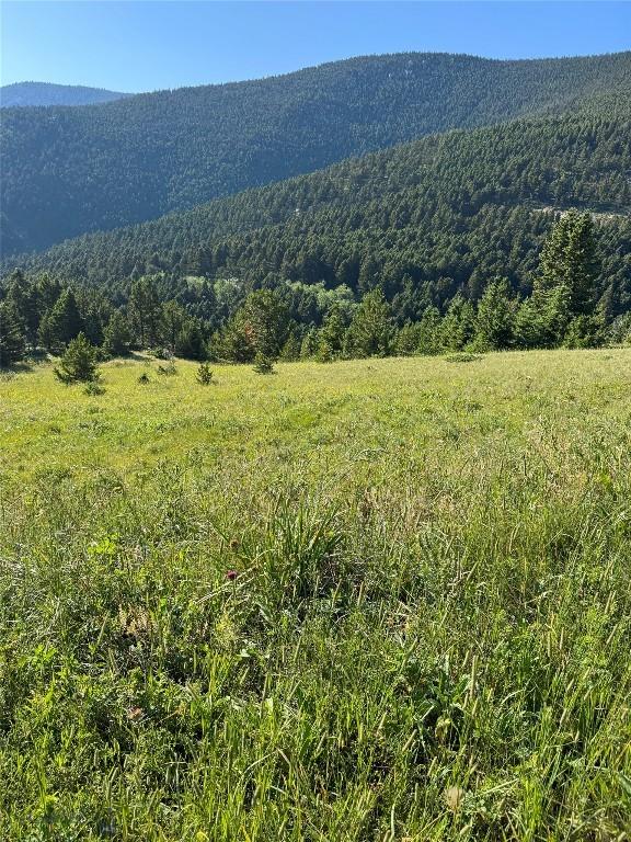 NHN Coyote Dr, Livingston, MT 59047 - photo 18