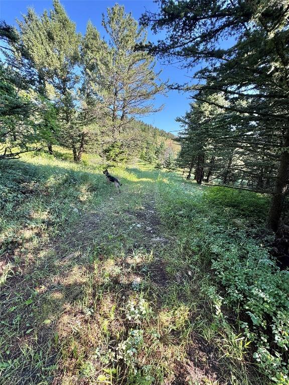 NHN Coyote Dr, Livingston, MT 59047 - photo 34