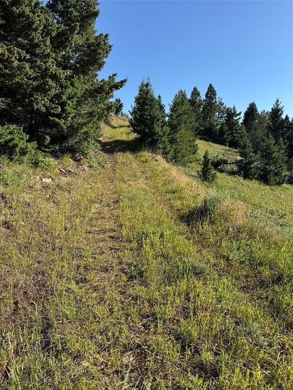 NHN Coyote Dr, Livingston, MT 59047 - photo 35