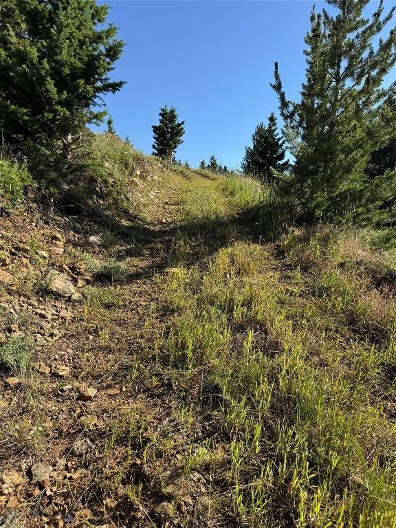 NHN Coyote Dr, Livingston, MT 59047 - photo 36