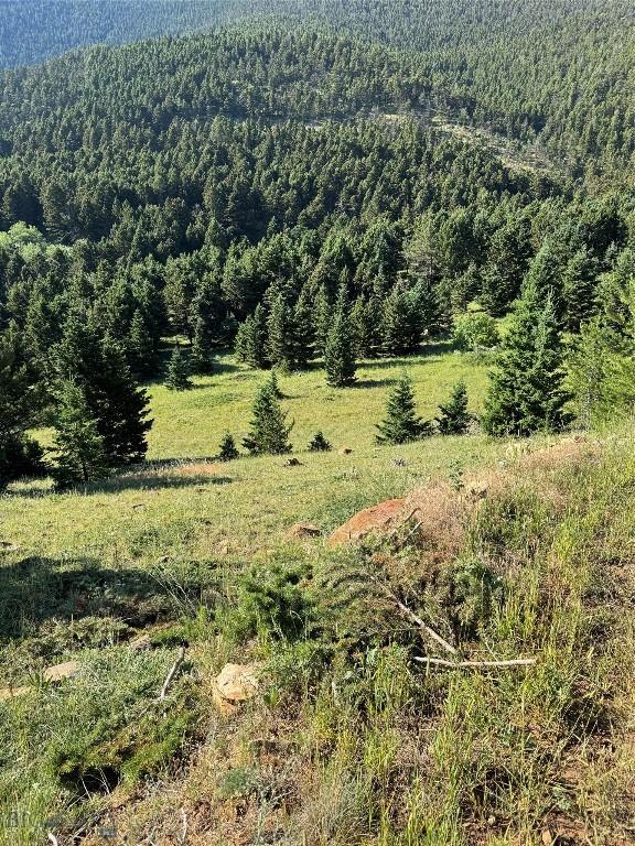 NHN Coyote Dr, Livingston, MT 59047 - photo 37