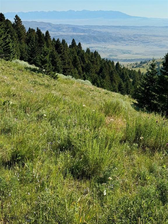 NHN Coyote Dr, Livingston, MT 59047 - photo 38