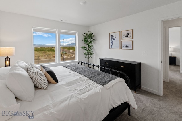 608 Mira Way Unit C, Belgrade, MT 59714 - photo 15