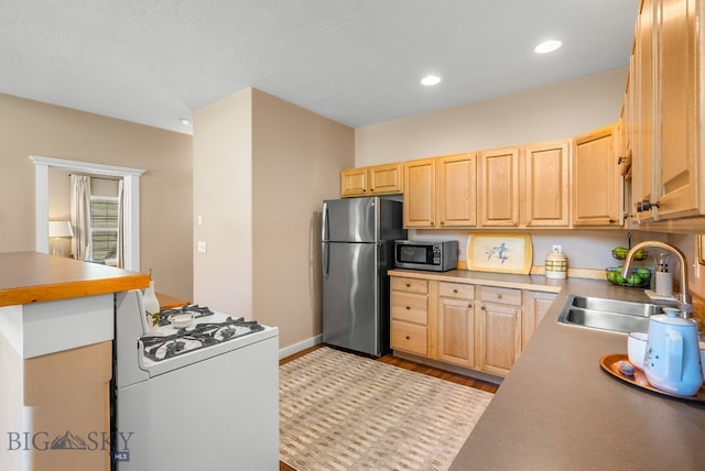 903 N Aster Ave, Bozeman, MT 59718 - photo 8