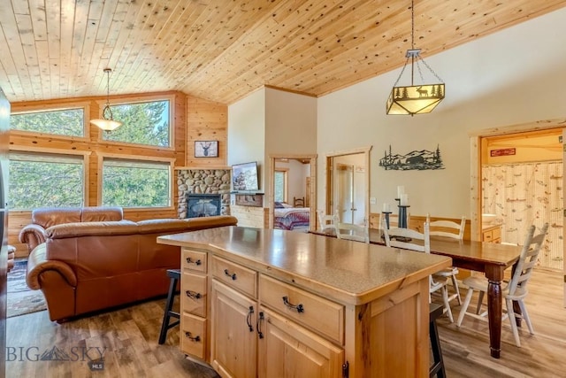 4213 S Shoshone Rd, Island Park, ID 83429 - photo 15