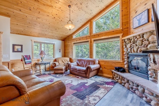 4213 S Shoshone Rd, Island Park, ID 83429 - photo 10