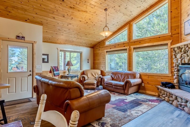 4213 S Shoshone Rd, Island Park, ID 83429 - photo 11