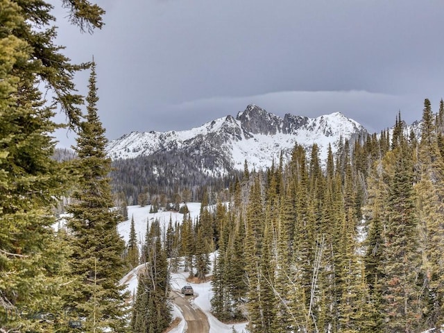 LOT16 Beehive Basin Rd, Big Sky, MT 59716 - photo 27