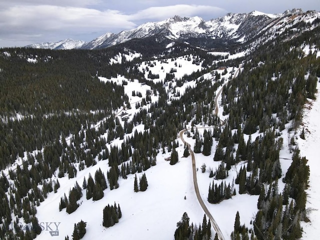 LOT16 Beehive Basin Rd, Big Sky, MT 59716 - photo 31