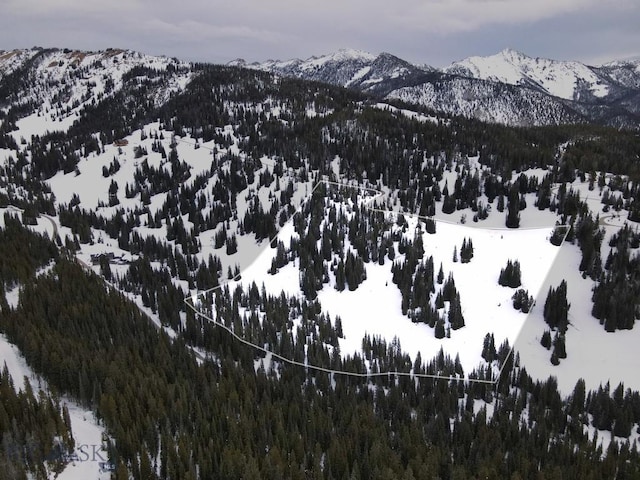 LOT16 Beehive Basin Rd, Big Sky, MT 59716 - photo 33