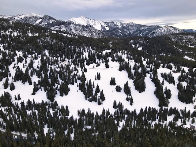 LOT16 Beehive Basin Rd, Big Sky, MT 59716 - photo 34