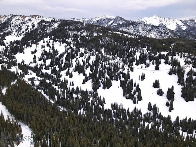 LOT16 Beehive Basin Rd, Big Sky, MT 59716 - photo 35