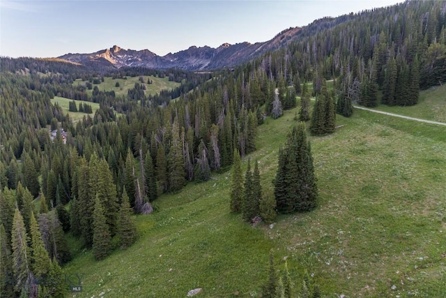 LOT16 Beehive Basin Rd, Big Sky, MT 59716 - photo 4
