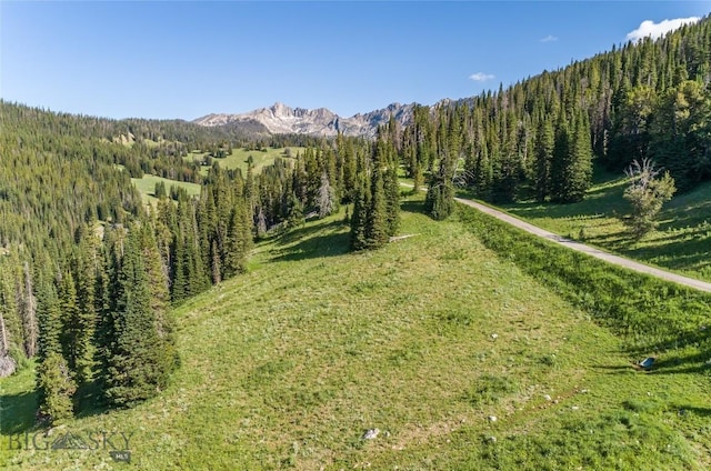 LOT16 Beehive Basin Rd, Big Sky, MT 59716 - photo 5