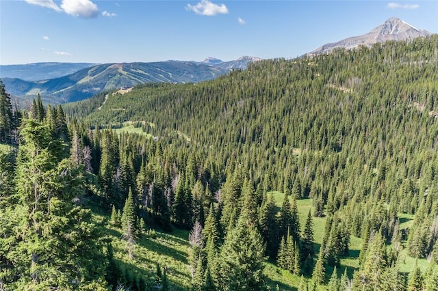 LOT16 Beehive Basin Rd, Big Sky, MT 59716 - photo 6