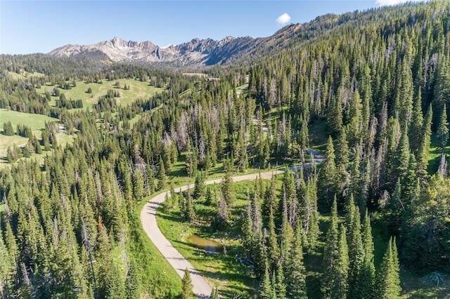 LOT16 Beehive Basin Rd, Big Sky, MT 59716 - photo 7