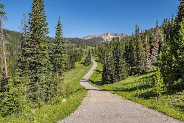 LOT16 Beehive Basin Rd, Big Sky, MT 59716 - photo 8