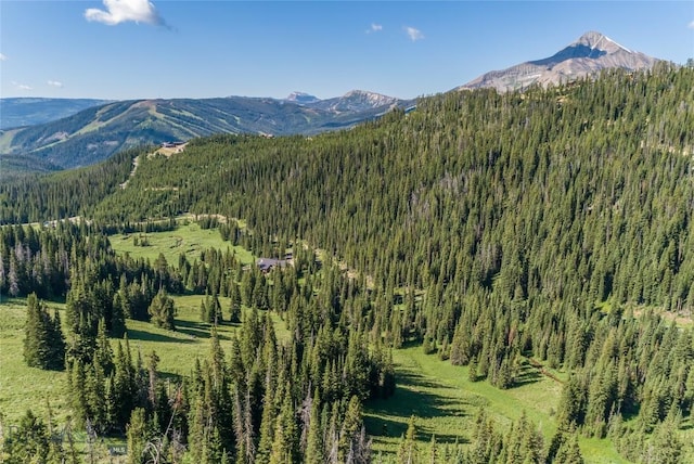 LOT16 Beehive Basin Rd, Big Sky, MT 59716 - photo 9