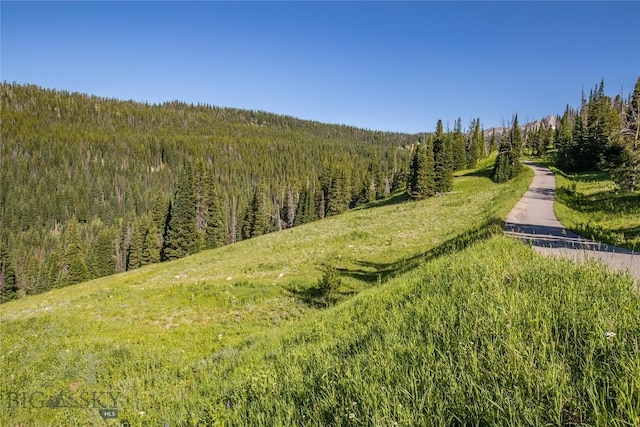 LOT16 Beehive Basin Rd, Big Sky, MT 59716 - photo 11