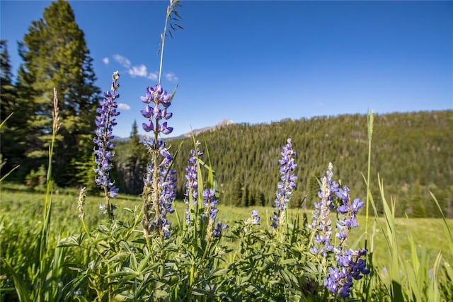 LOT16 Beehive Basin Rd, Big Sky, MT 59716 - photo 12