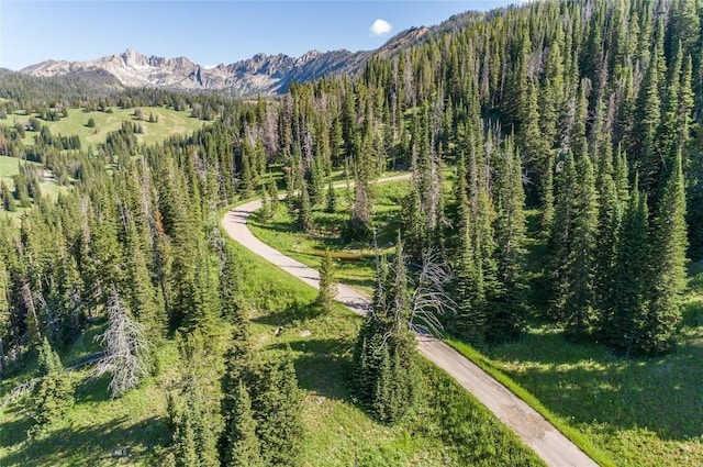 LOT16 Beehive Basin Rd, Big Sky, MT 59716 - photo 13