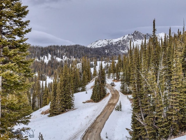 LOT16 Beehive Basin Rd, Big Sky, MT 59716 - photo 17