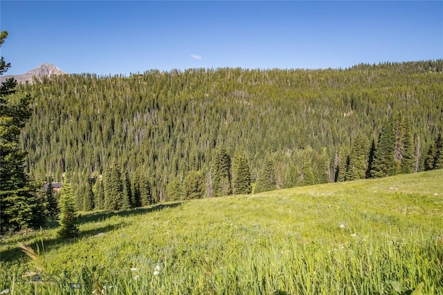 LOT16 Beehive Basin Rd, Big Sky, MT 59716 - photo 18