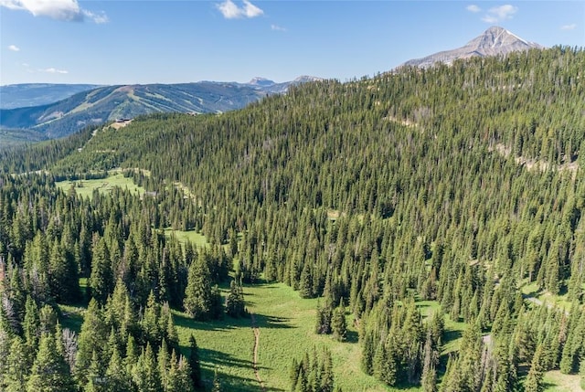 LOT16 Beehive Basin Rd, Big Sky, MT 59716 - photo 19
