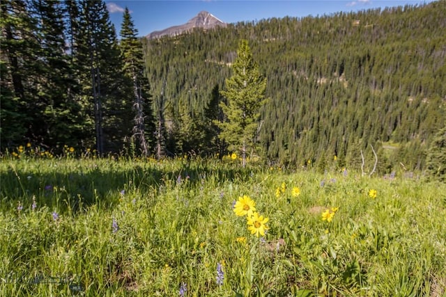 LOT16 Beehive Basin Rd, Big Sky, MT 59716 - photo 21