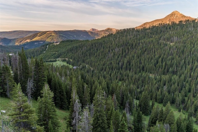 LOT16 Beehive Basin Rd, Big Sky, MT 59716 - photo 22