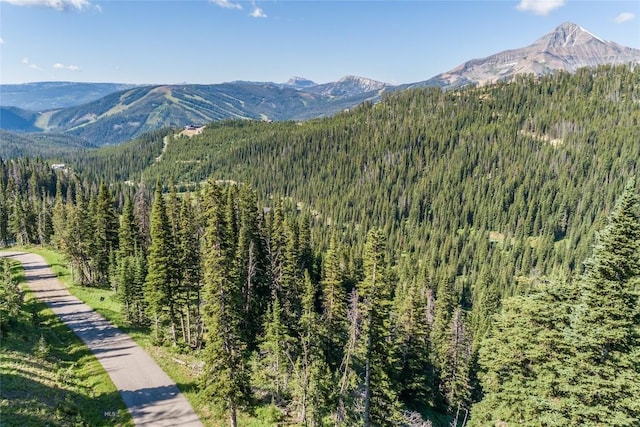 LOT16 Beehive Basin Rd, Big Sky, MT 59716 - photo 23