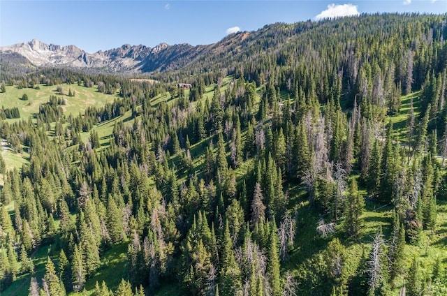 LOT16 Beehive Basin Rd, Big Sky, MT 59716 - photo 25