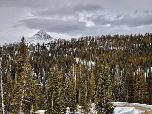 LOT16 Beehive Basin Rd, Big Sky, MT 59716 - photo 37
