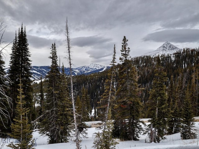 LOT16 Beehive Basin Rd, Big Sky, MT 59716 - photo 38